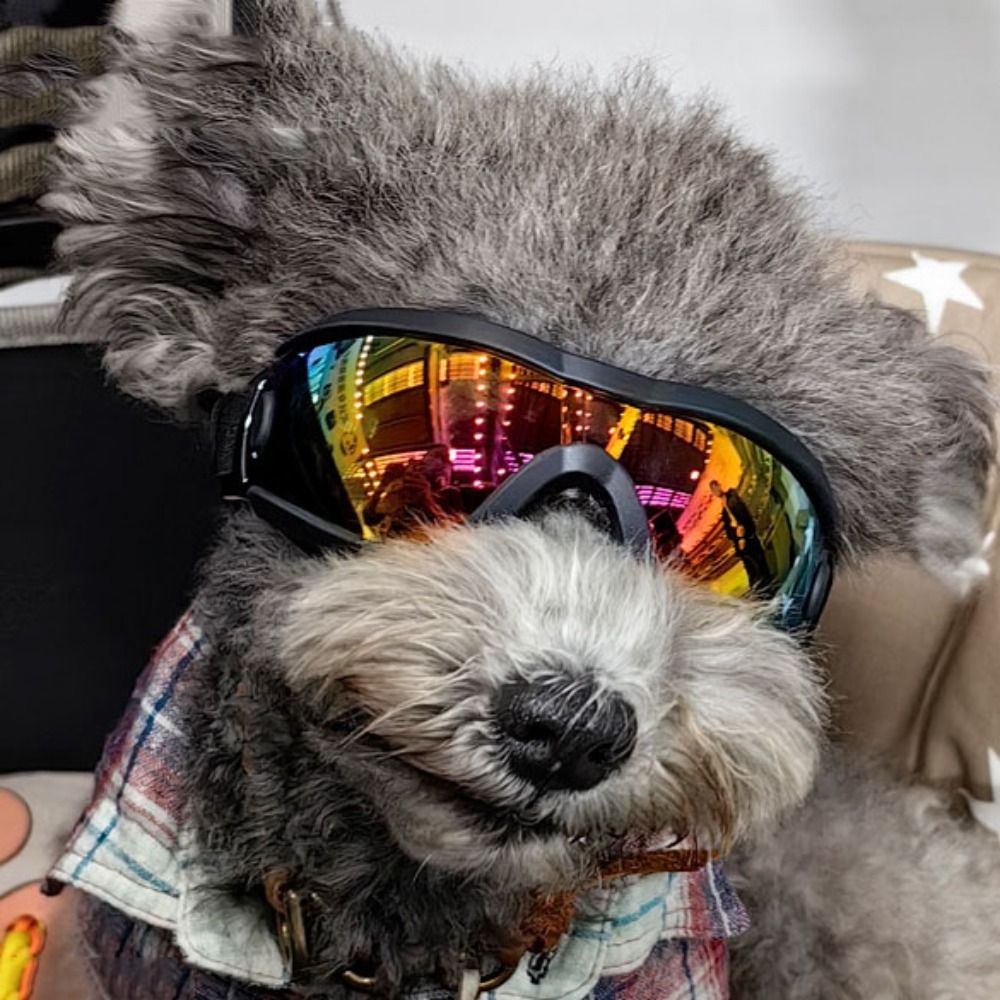 犬アクセサリー調節可能なストラップ犬用ゴーグル防風 UV 耐 - Windsor Knot Tie のレビューと価格
