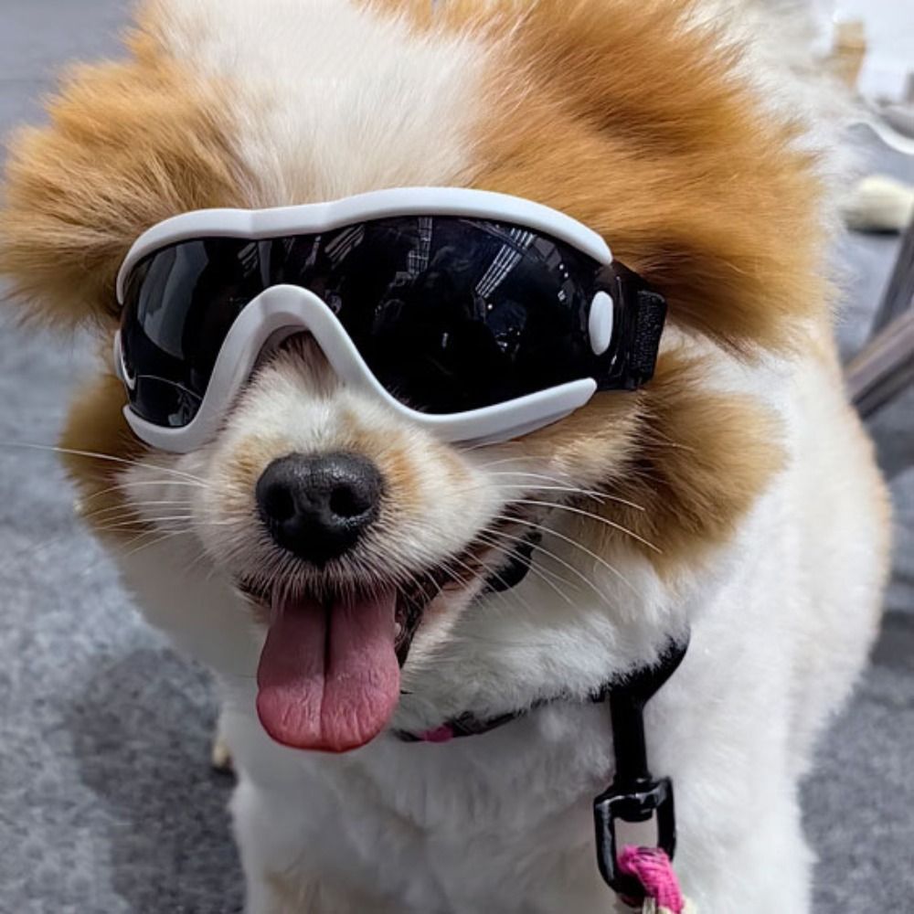 犬アクセサリー調節可能なストラップ犬用ゴーグル防風 UV 耐 - Windsor Knot Tie のレビューと価格